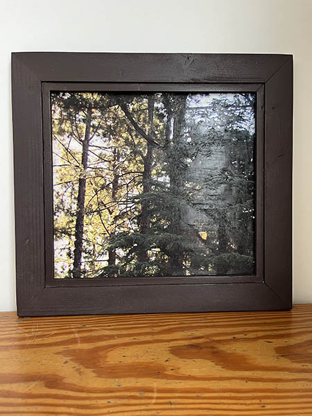 IMPRESIÓN SOBRE LIENZO.ARBOLES. 43X40