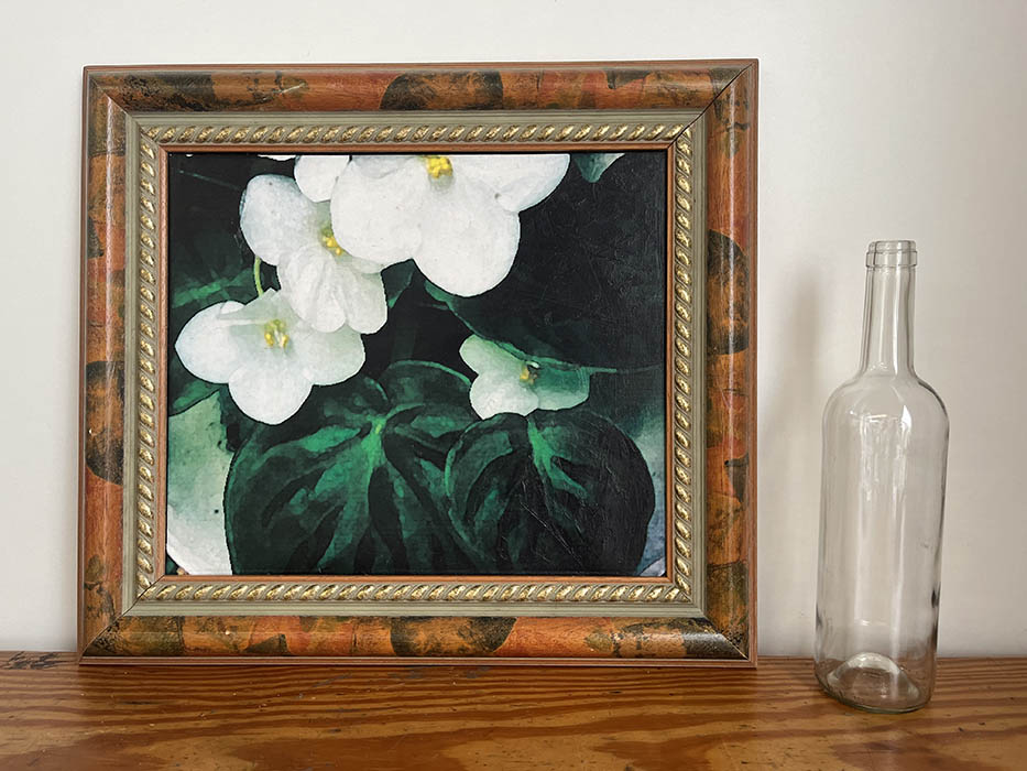 IMPRESIÓN SOBRE LIENZO. FLORES BLANCAS.49X44