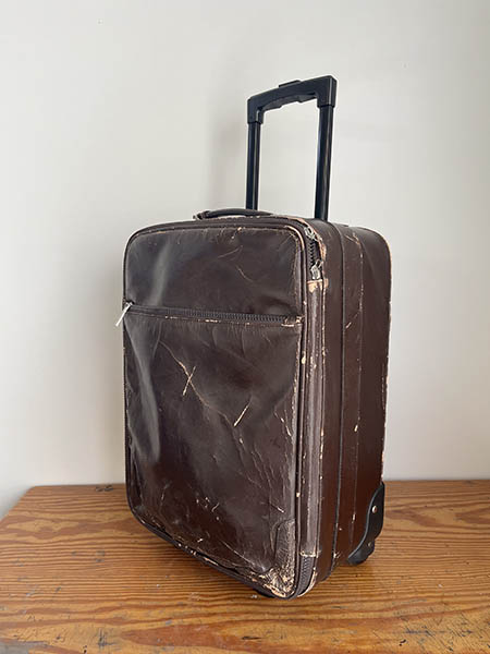 TROLLEY POLIPIEL. 36X22X52