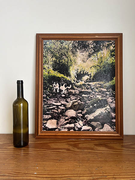 IMPRESIÓN SOBRE LIENZO.PAISAJE PERRO (47,5X57,5)
