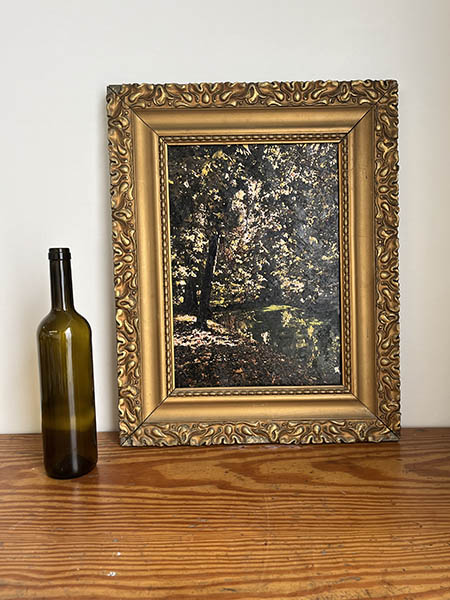 IMPRESIÓN SOBRE LIENZO.PAISAJE PARQUE (44,5x55,5)